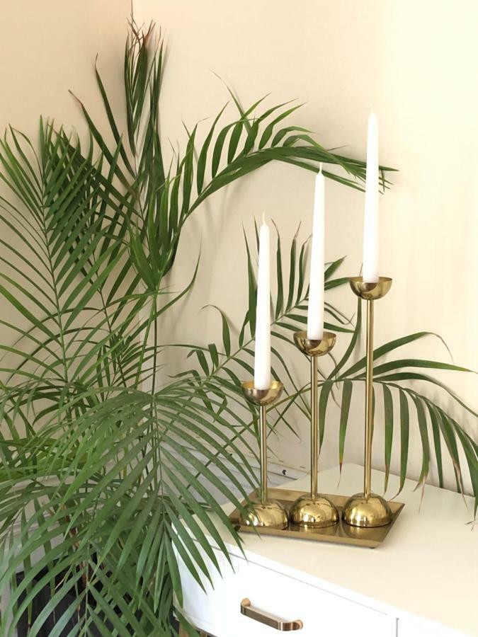 Bed and Breakfast Le Coeur De La Bastide - Adult Only Carcassonne Exterior foto